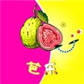 水果派轻量版安装包在线下载